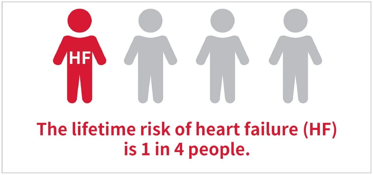 新品上市 | 心衰診斷雙保障——聚焦心衰精準(zhǔn)診斷，我們從未止步！